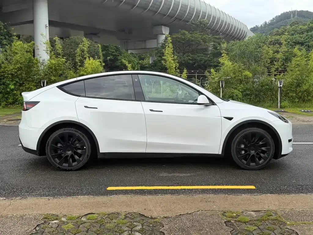 Tesla Model Y — фото 8