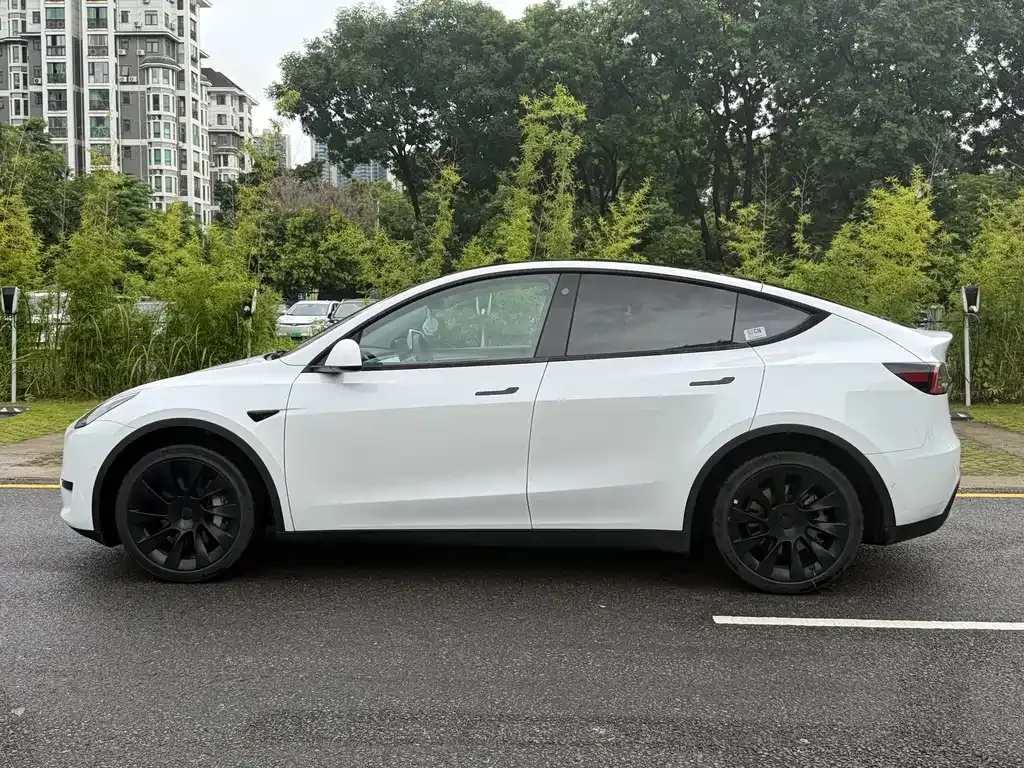 Tesla Model Y — фото 10