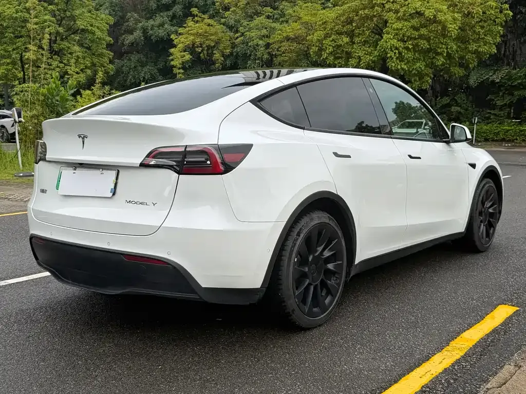Tesla Model Y — фото 5