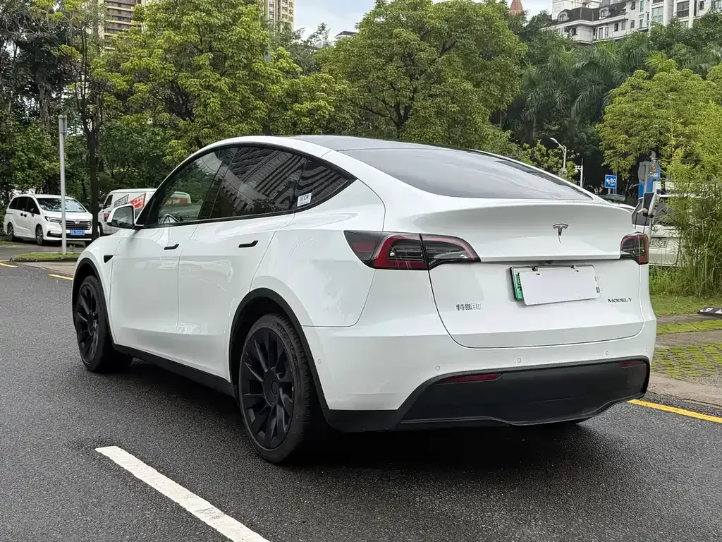 Tesla Model Y — фото 9