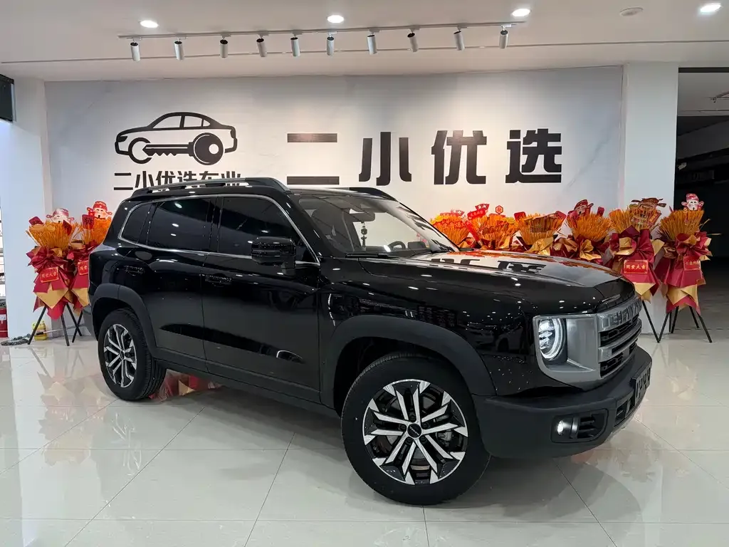 Haval Big Dog — фото 4