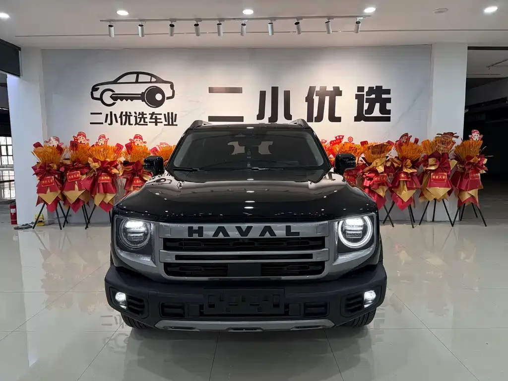 Haval Big Dog — фото 5
