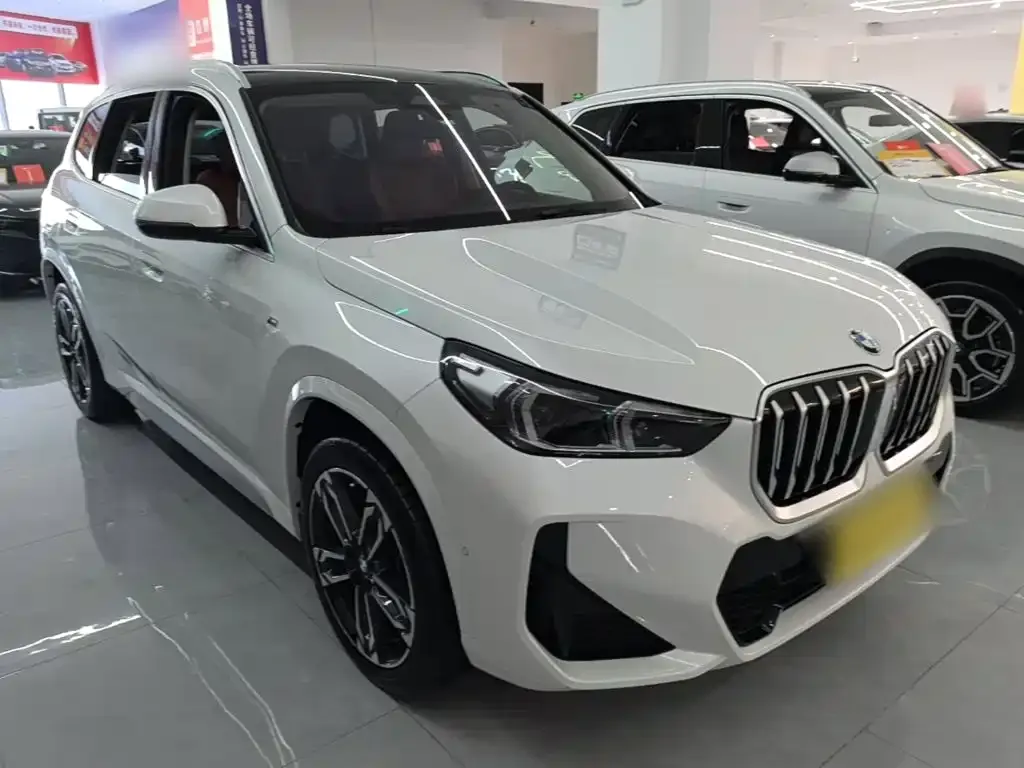 BMW X1 — фото 9