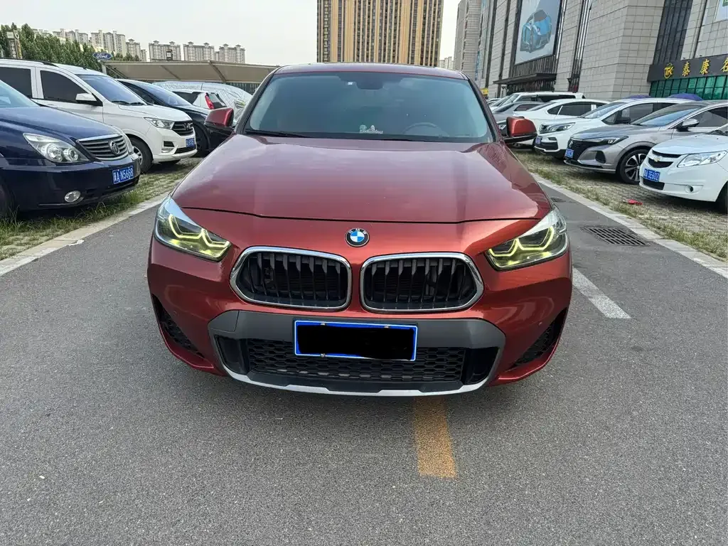 BMW X2 2021 из CN, фото 5