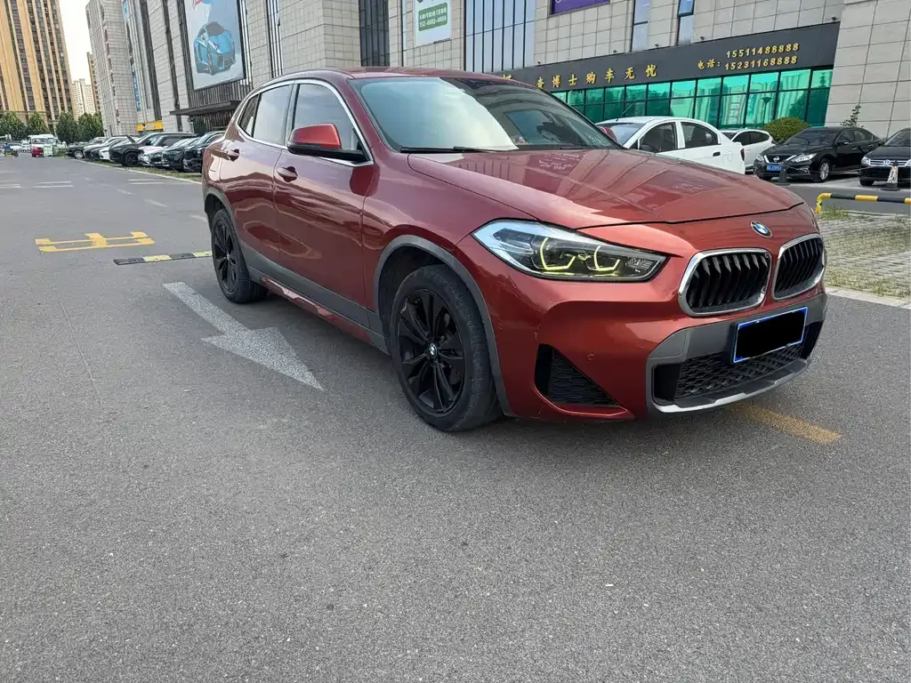 BMW X2 2021 из CN, фото 8
