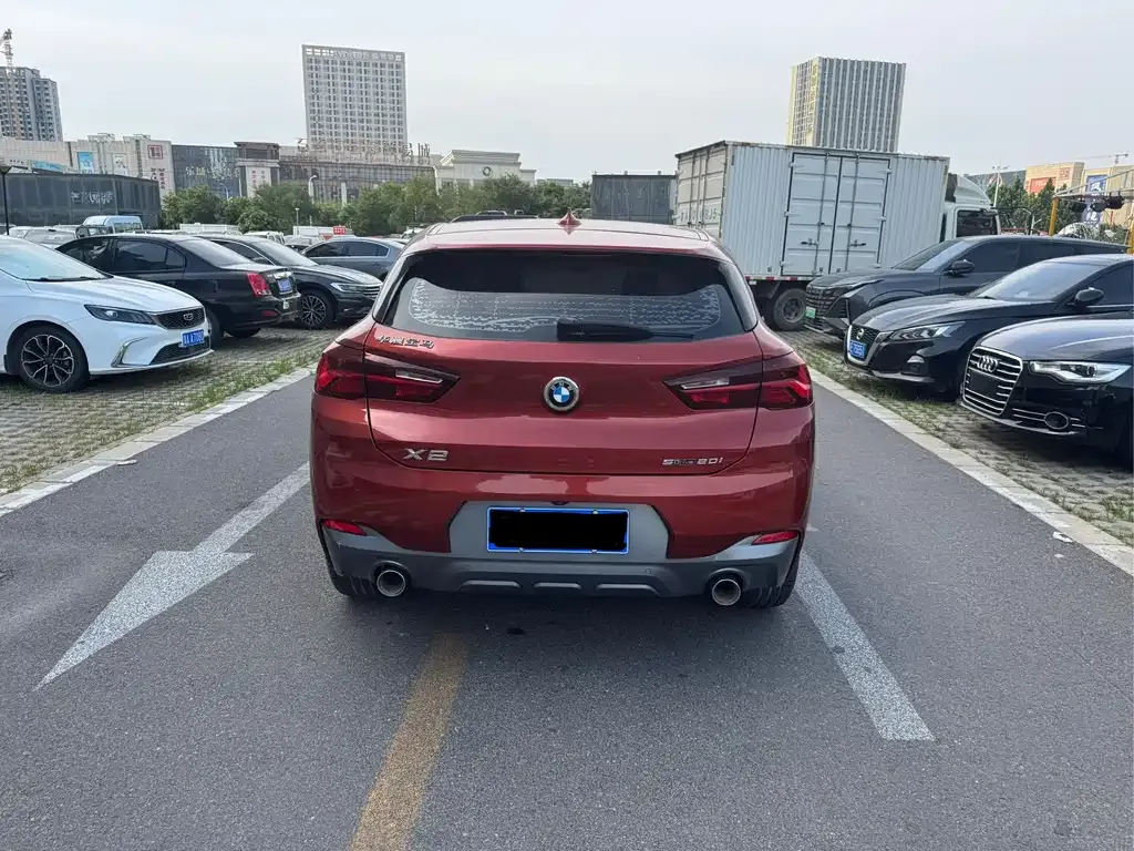BMW X2 2021 из CN, фото 10