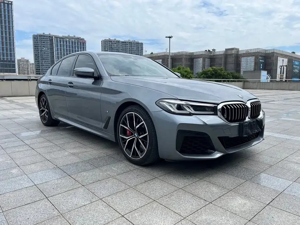 BMW 5 Series (Import) — фото 9