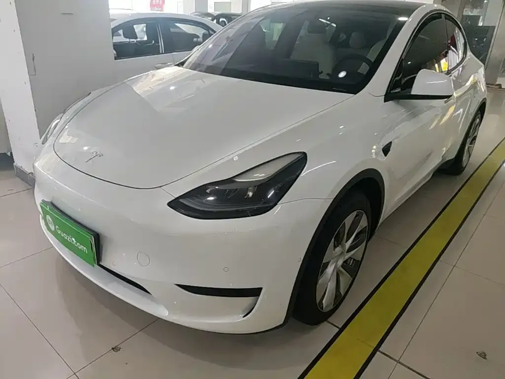 Tesla Model Y — фото 2