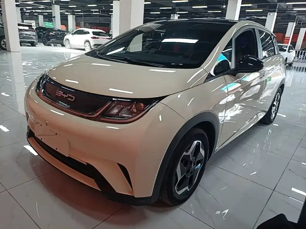 BYD Dolphin 2023 из CN, фото 4