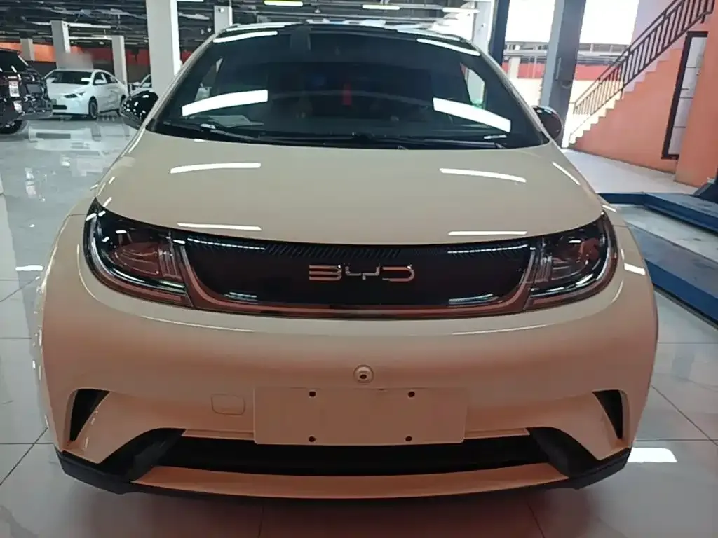 BYD Dolphin 2023 из CN, фото 7