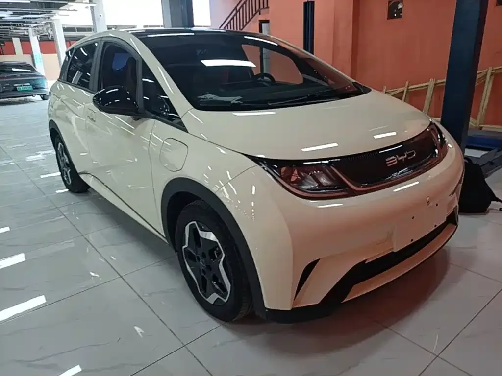 BYD Dolphin 2023 из CN, фото 6