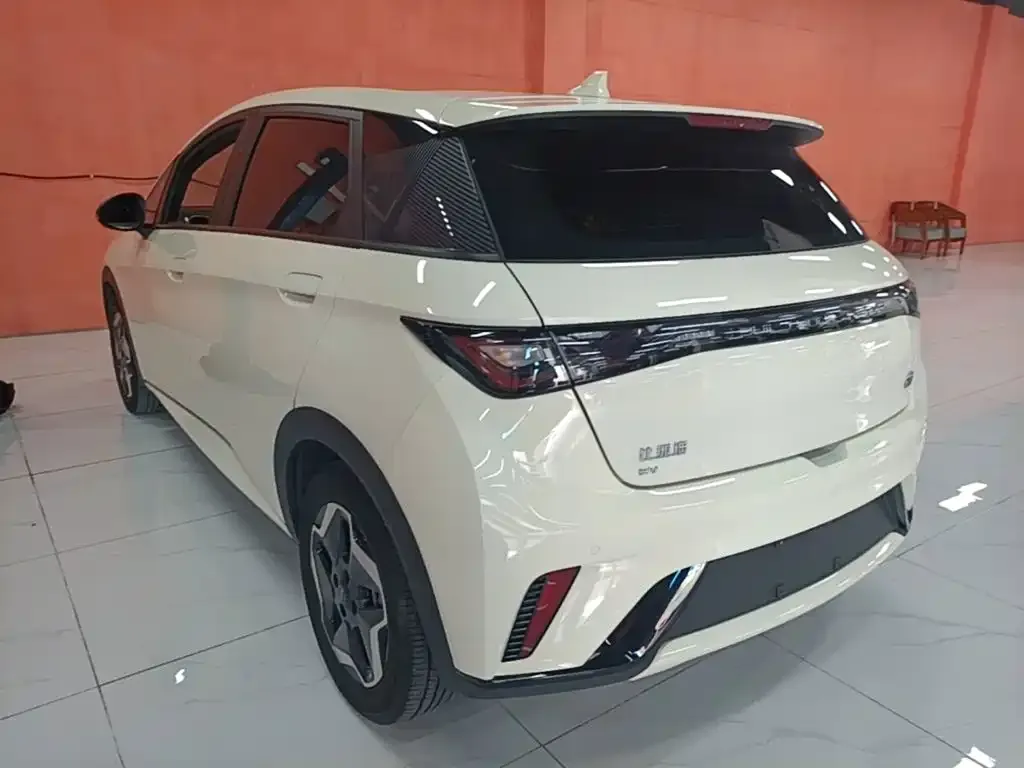 BYD Dolphin 2023 из CN, фото 10