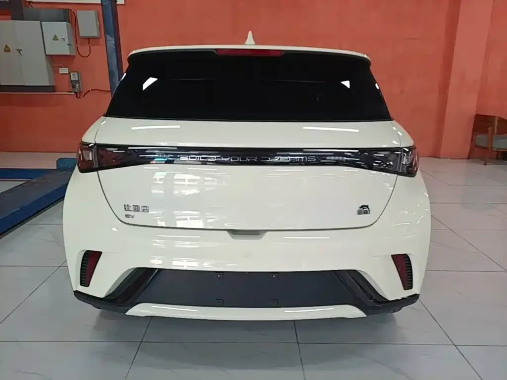 BYD Dolphin 2023 из CN, фото 2