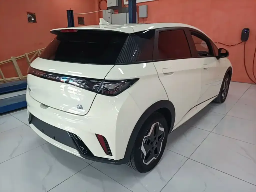 BYD Dolphin 2023 из CN, фото 5