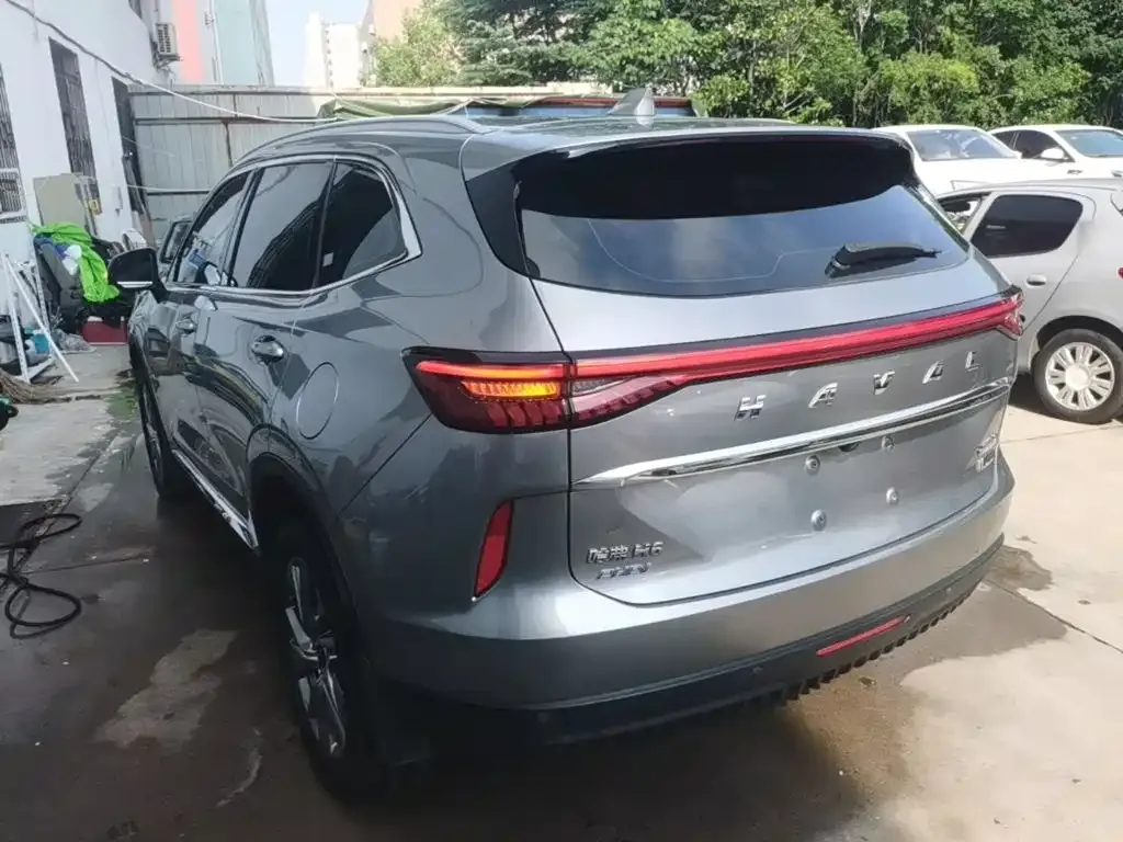 Haval H6 New Energy — фото 9