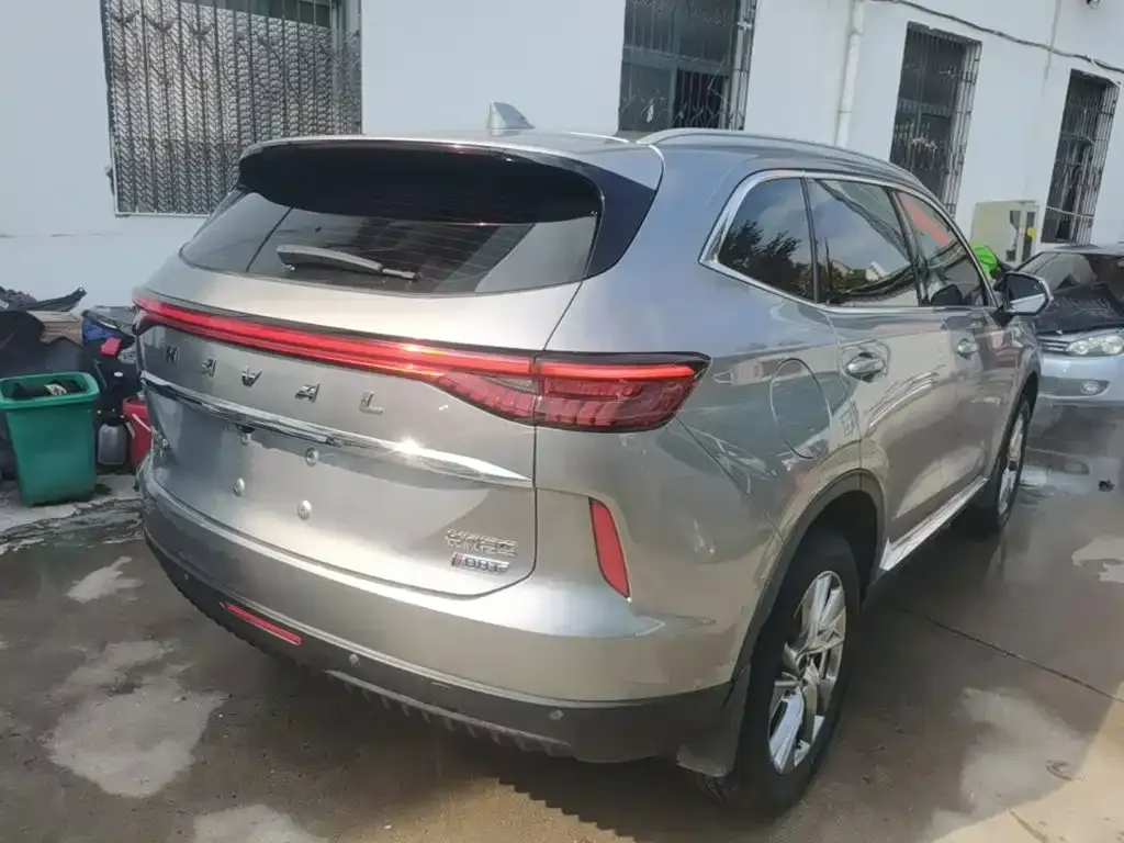 Haval H6 New Energy — фото 10
