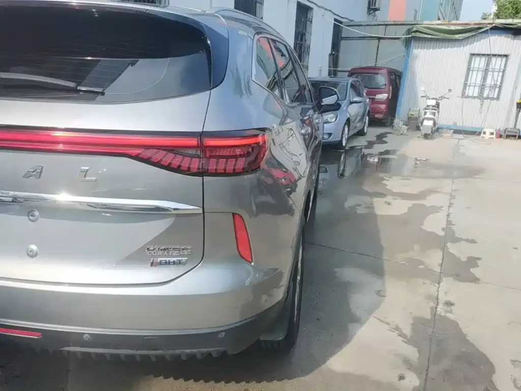 Haval H6 New Energy — фото 8
