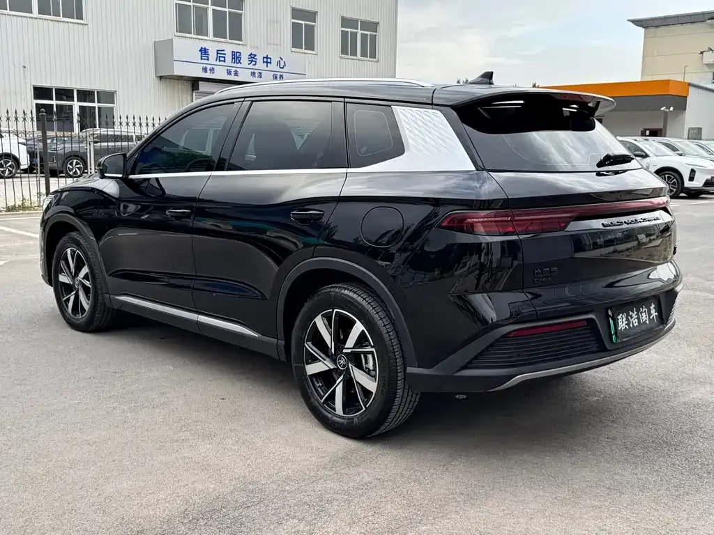 BYD Pro New Energy — фото 3