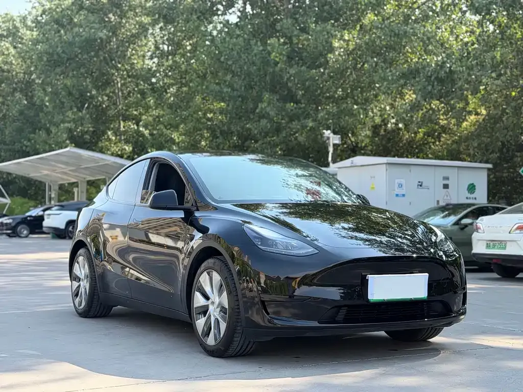 Tesla Model Y — фото 7