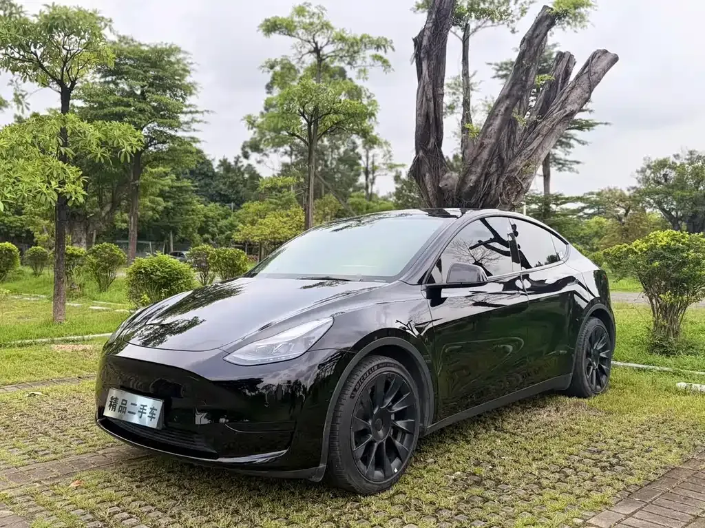 Tesla Model Y — фото 1