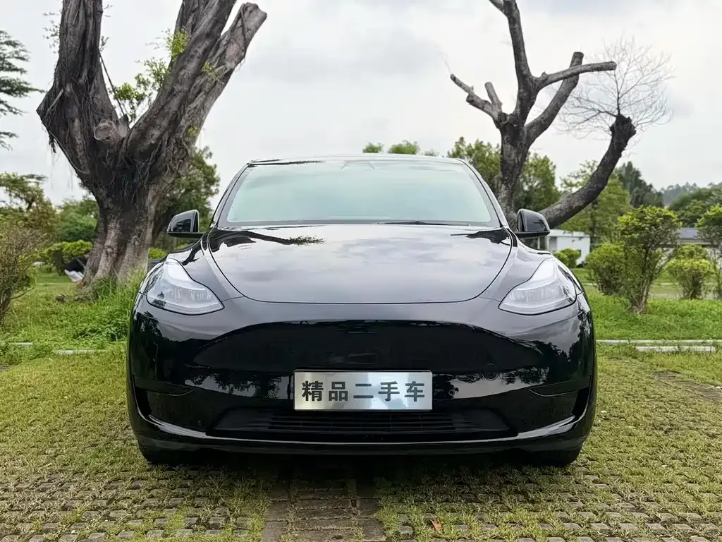 Tesla Model Y — фото 3