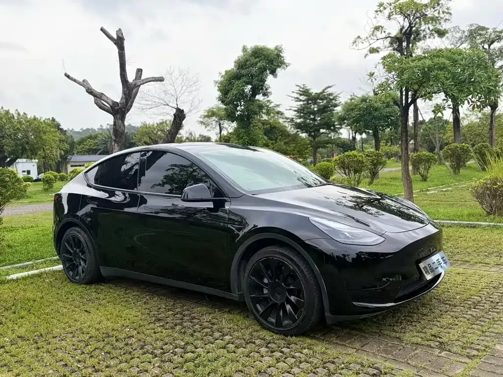 Tesla Model Y — фото 5
