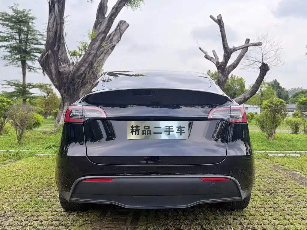 Tesla Model Y — фото 6