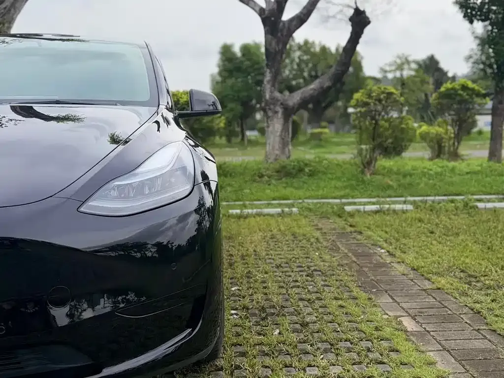 Tesla Model Y — фото 2