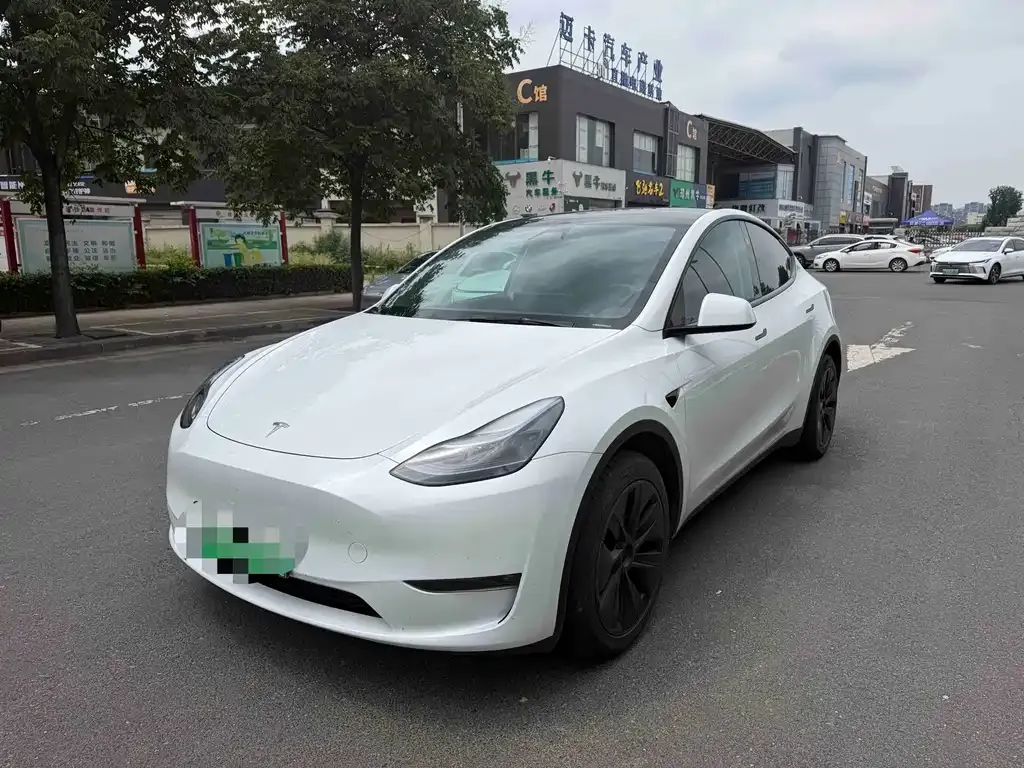Tesla Model Y — фото 1