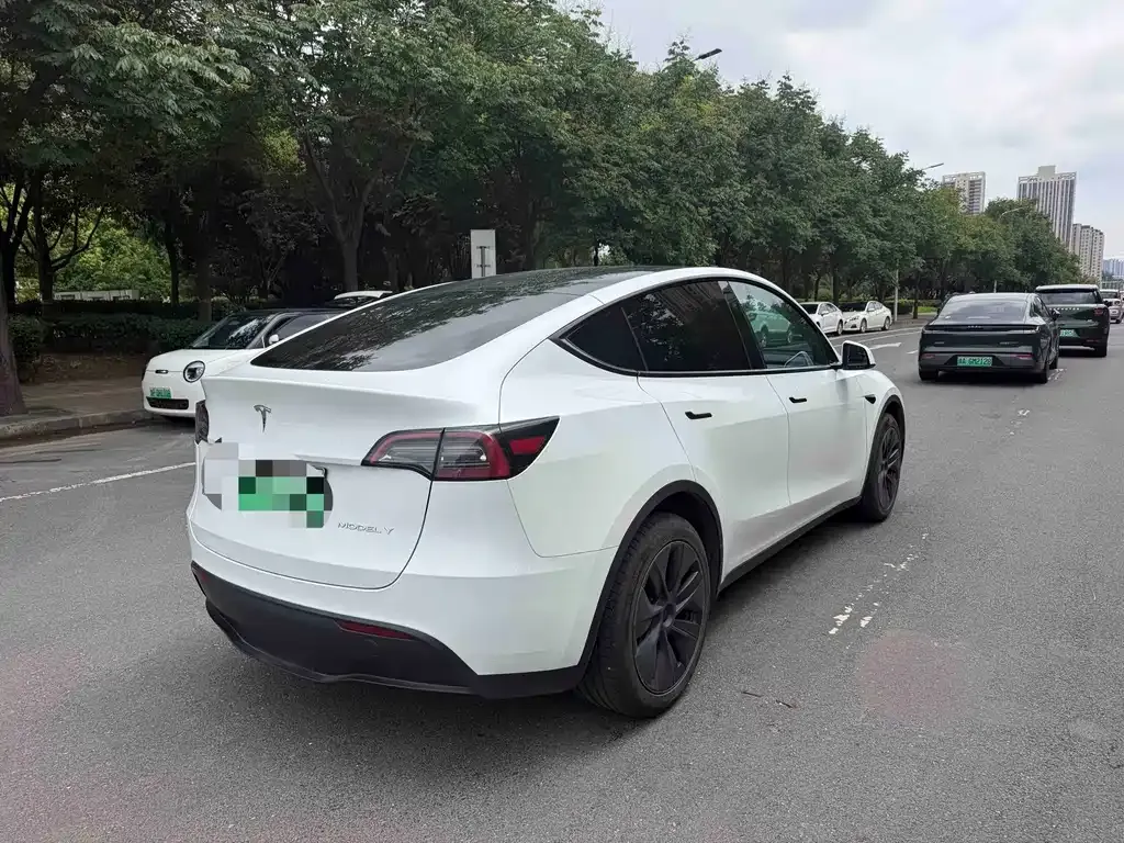 Tesla Model Y — фото 8