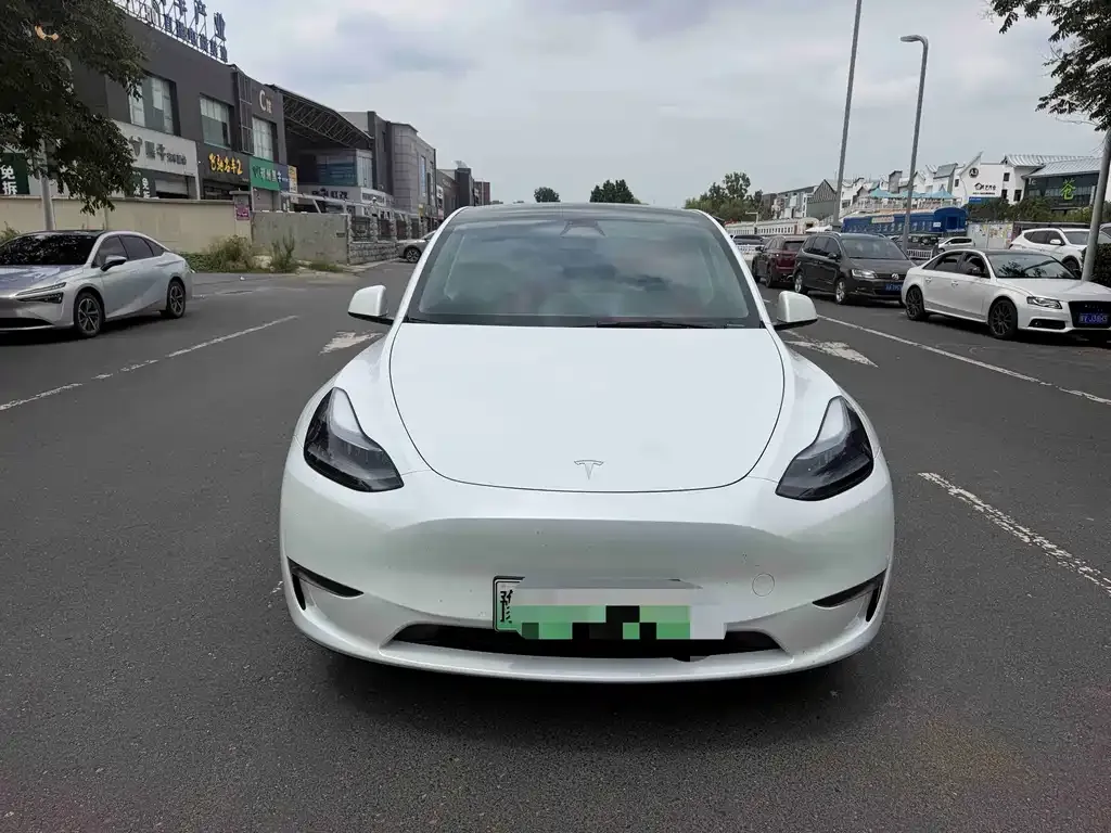 Tesla Model Y — фото 3