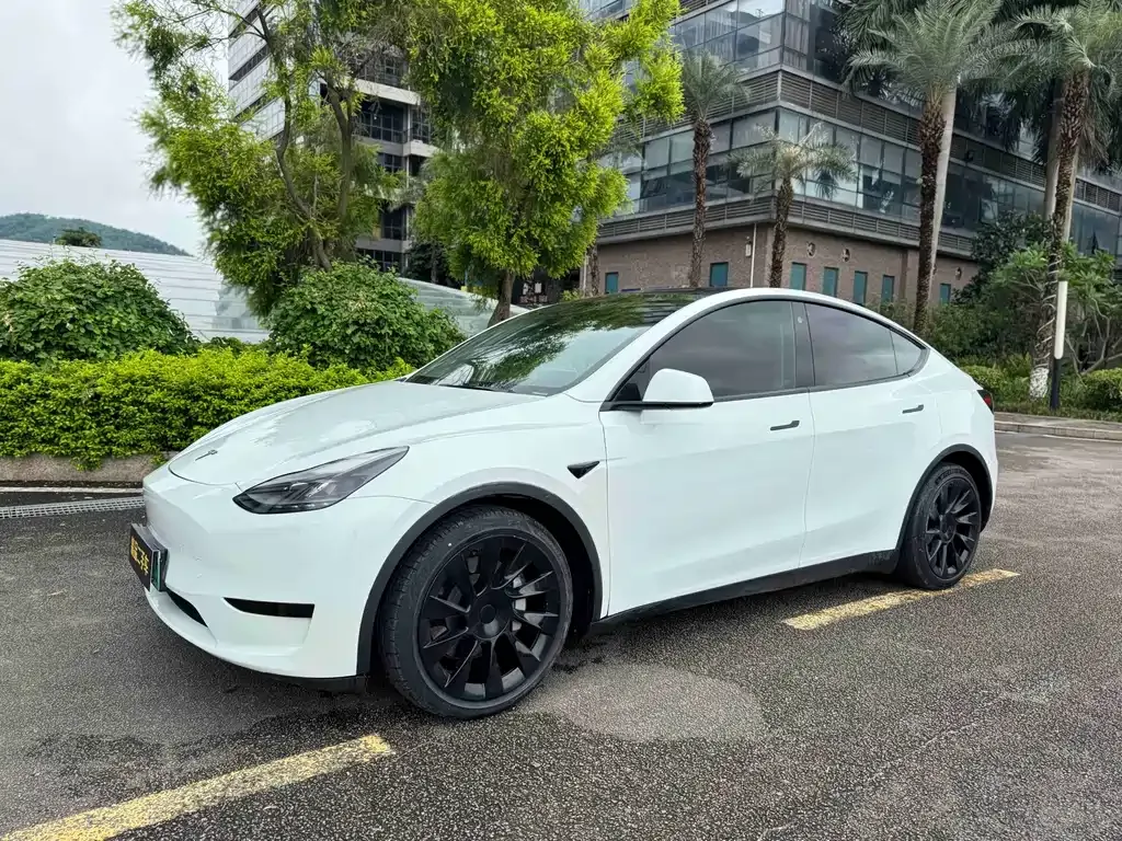 Tesla Model Y — фото 1