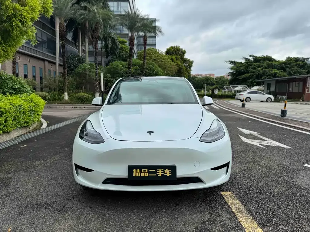 Tesla Model Y — фото 9