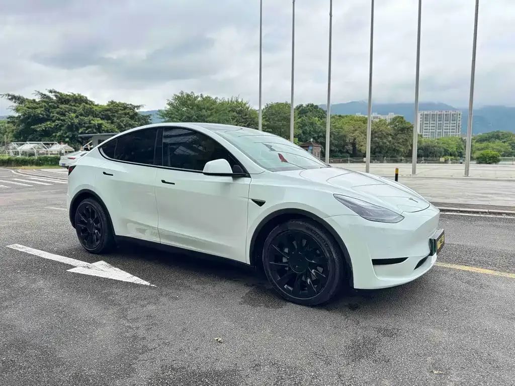 Tesla Model Y — фото 10
