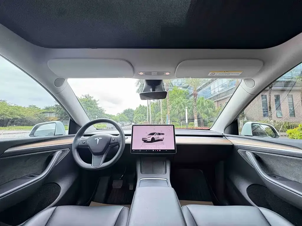 Tesla Model Y — фото 8