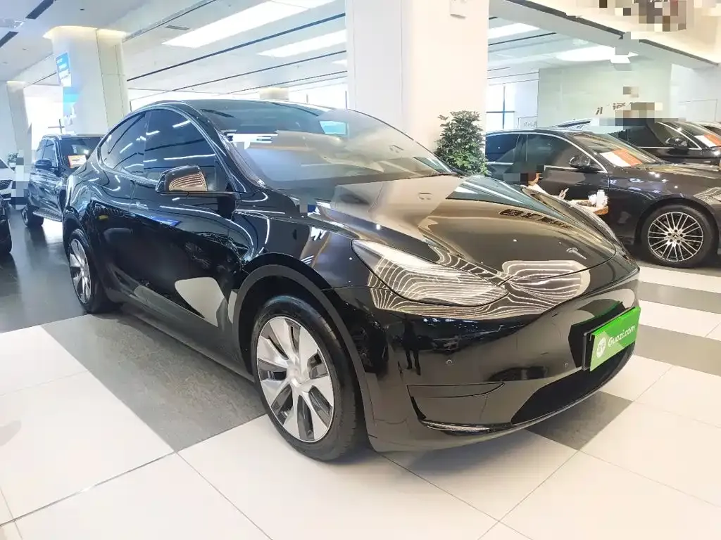 Tesla Model Y — фото 3