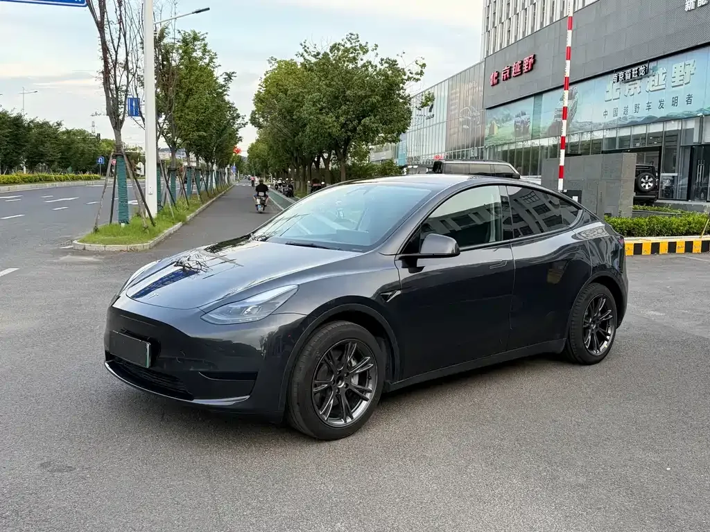 Tesla Model Y — фото 1