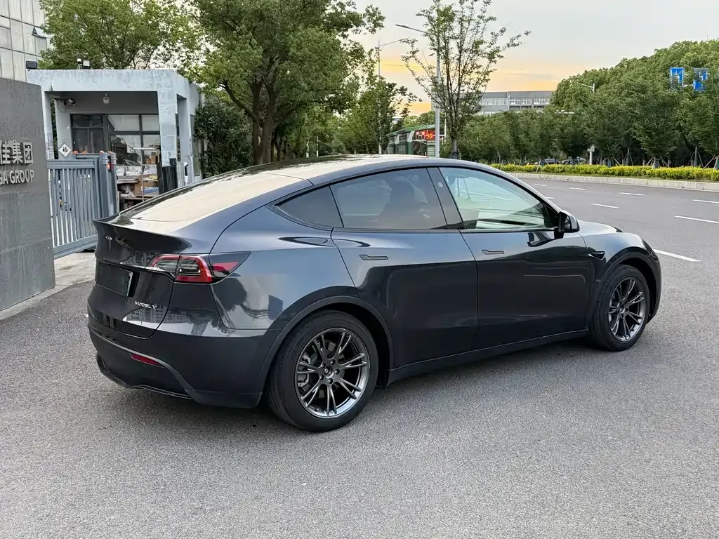 Tesla Model Y — фото 9