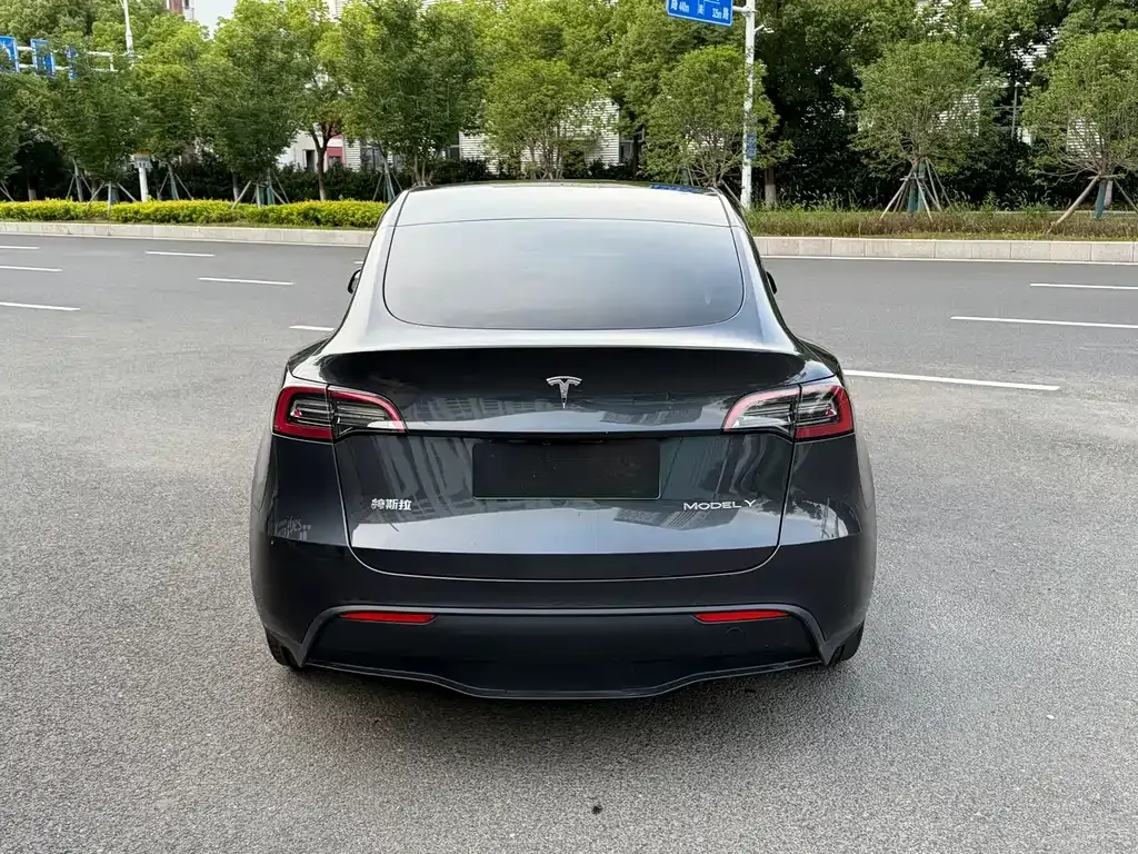Tesla Model Y — фото 6