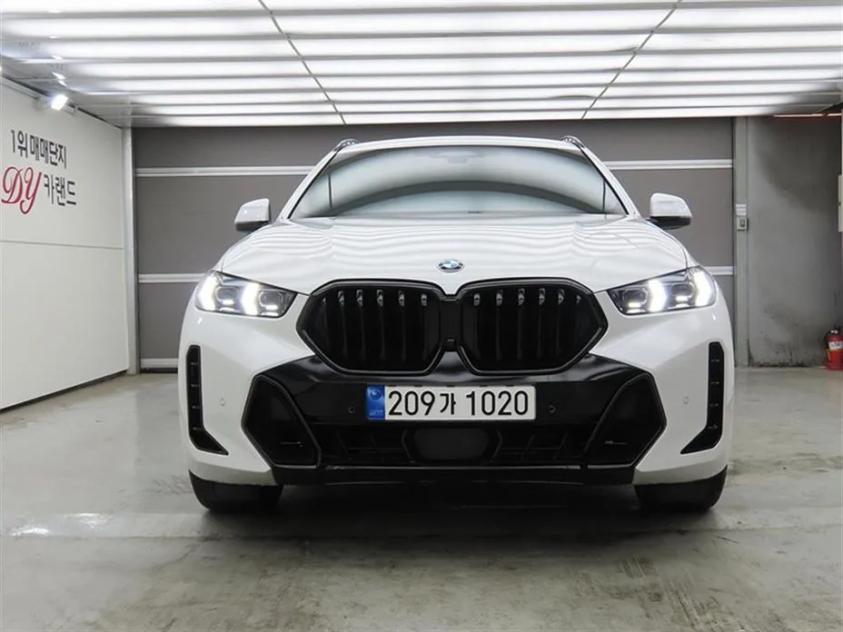 BMW X6 — фото 9