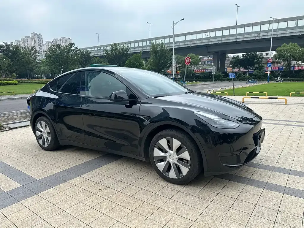Tesla Model Y — фото 7