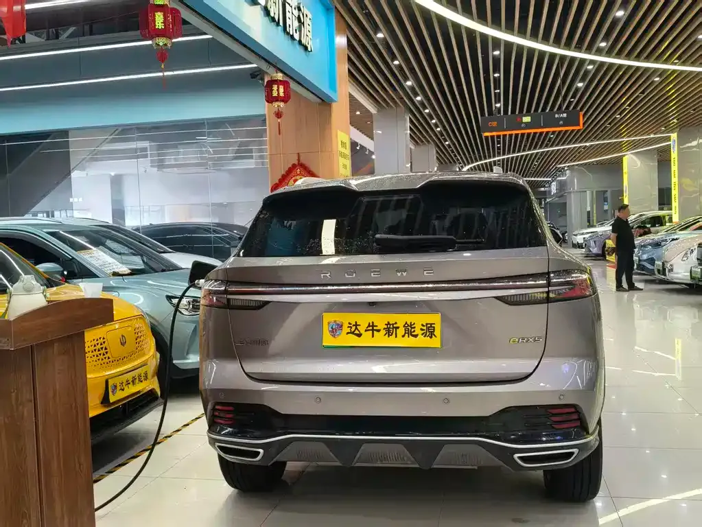 Roewe RX5 New Energy — фото 10