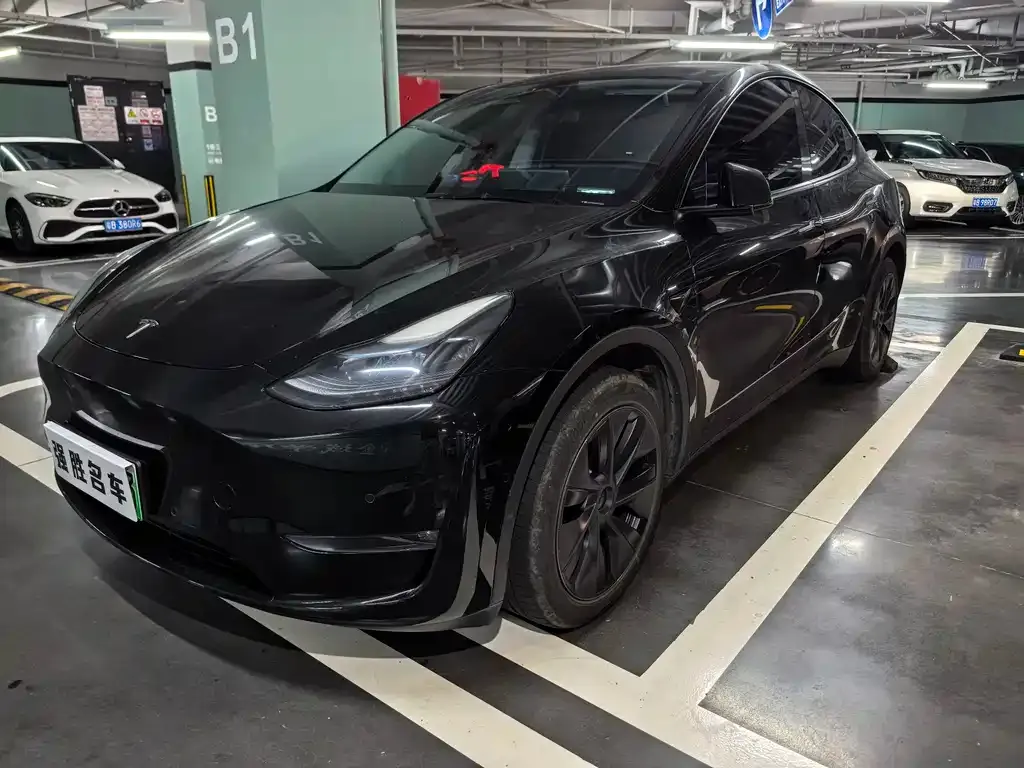Tesla Model Y — фото 1