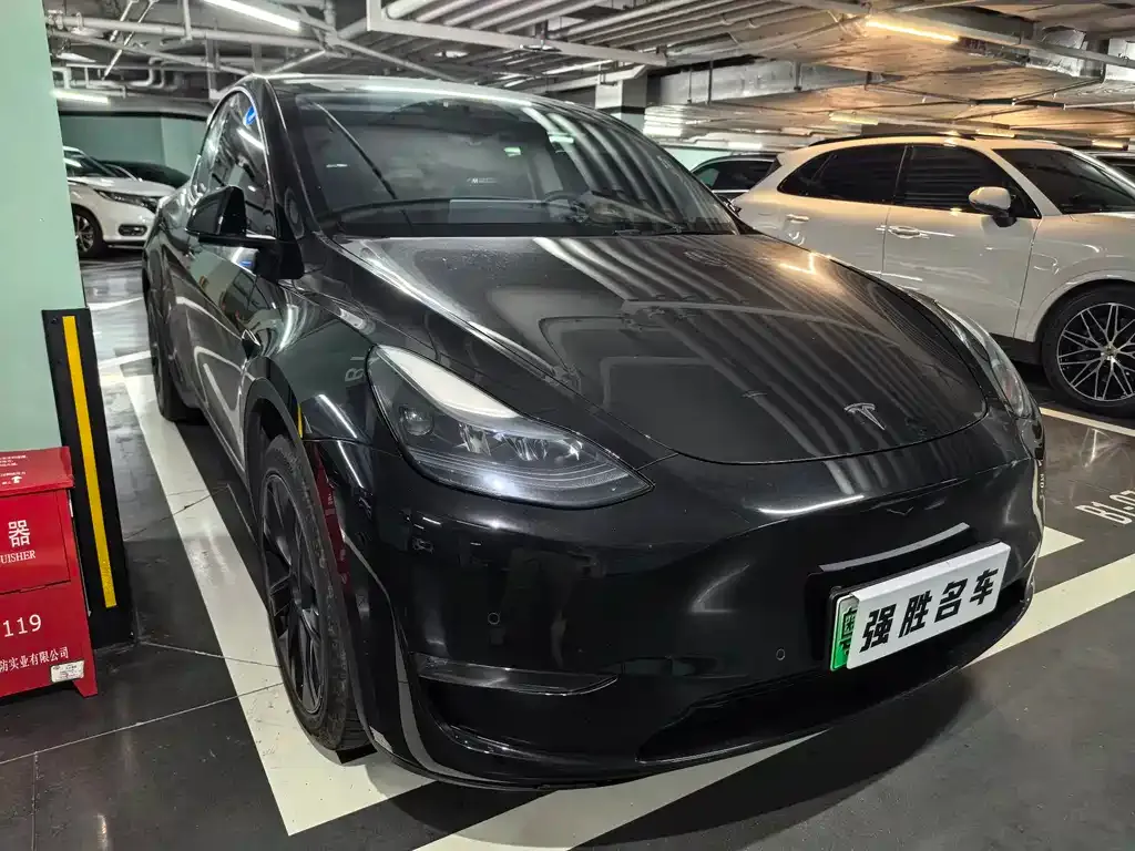 Tesla Model Y — фото 10