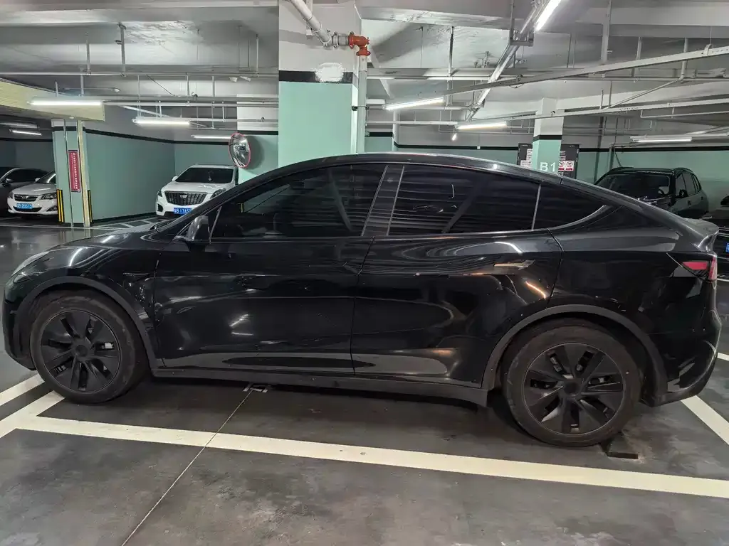 Tesla Model Y — фото 2
