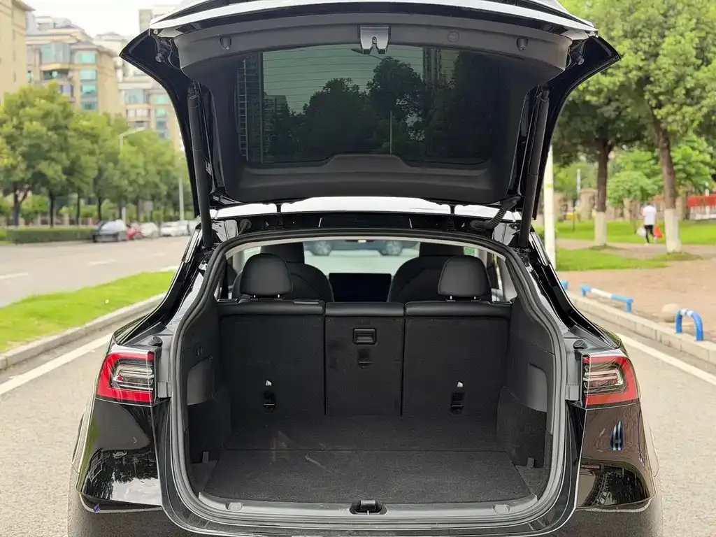 Tesla Model Y — фото 10