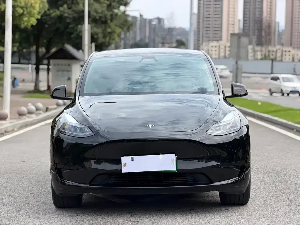 Tesla Model Y — фото 6