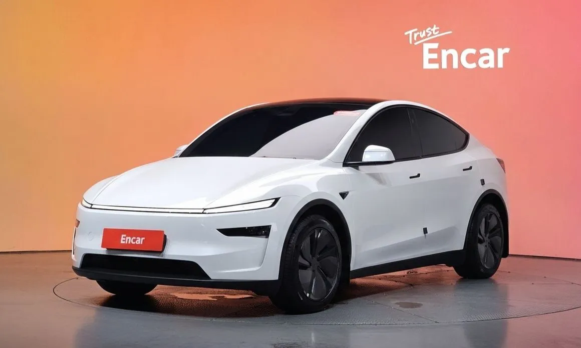 Tesla Model Y — фото 1