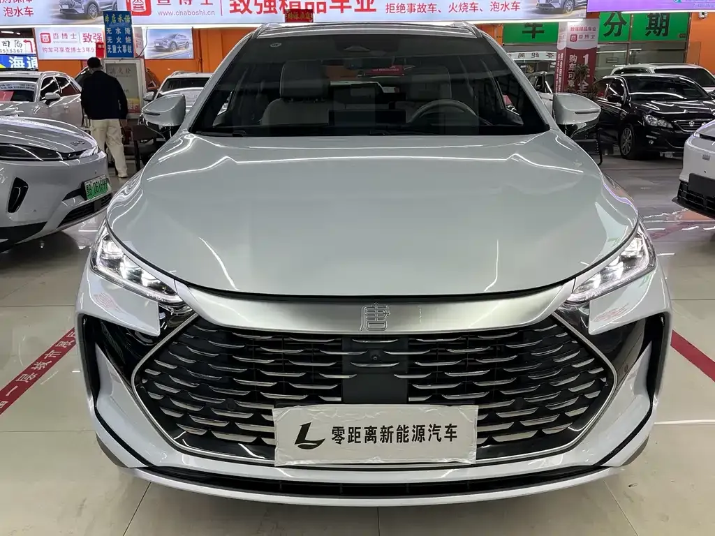 BYD Tang New Energy — фото 2