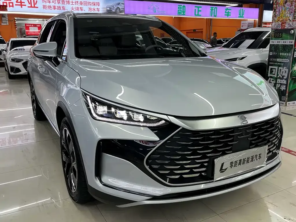 BYD Tang New Energy — фото 4